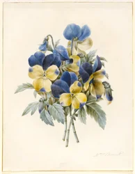 Branche de pensées